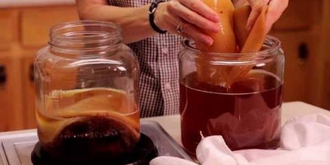 Kako podijeliti kombuchu kod kuće: video, fotografija